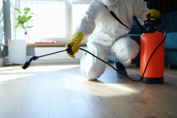 Reliable Odor Removal contractor in Westwood, NJ by Trauma Clean Pros